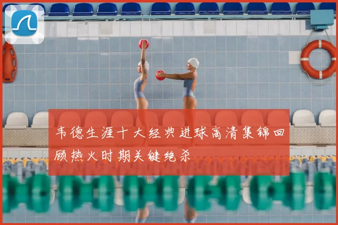 韦德生涯十大经典进球高清集锦回顾热火时期关键绝杀