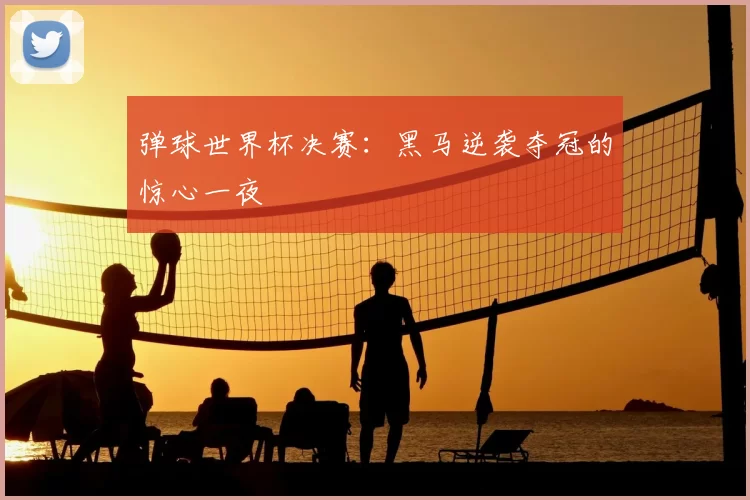 弹球世界杯决赛:黑马逆袭夺冠的惊心一夜