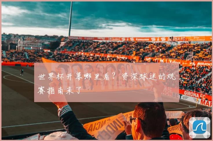 世界杯开幕哪里看？资深球迷的观赛指南来了
