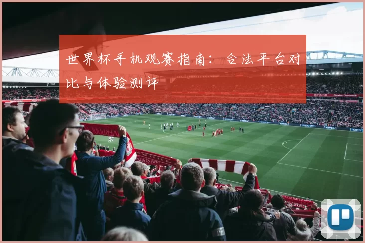 世界杯手机观赛指南：合法平台对比与体验测评