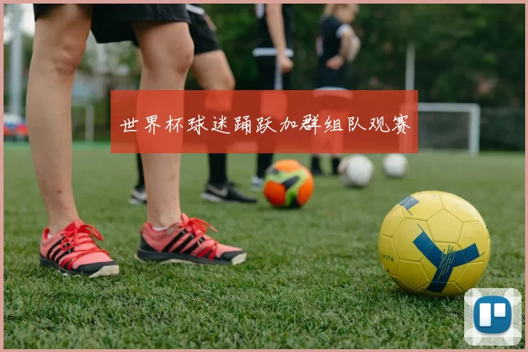 世界杯球迷踊跃加群组队观赛