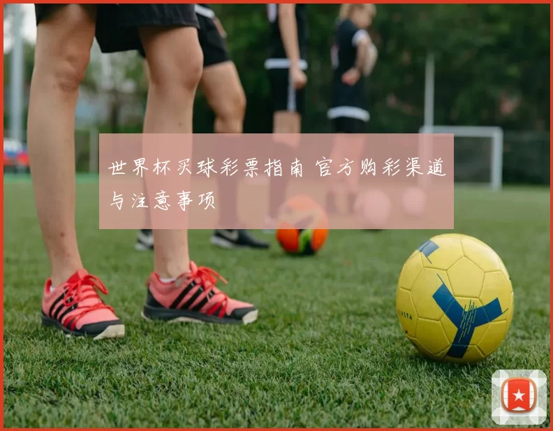 世界杯买球彩票指南 官方购彩渠道与注意事项