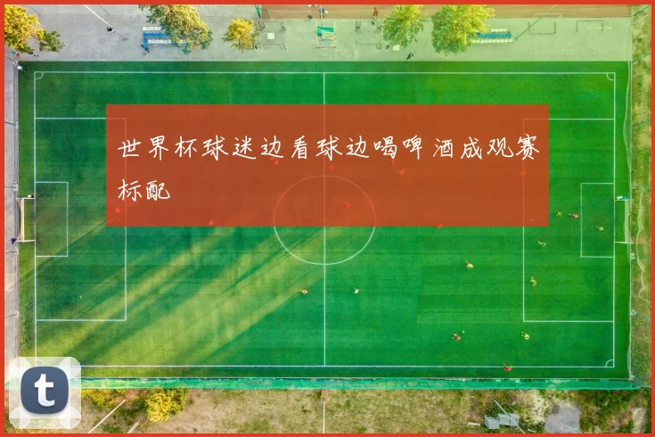世界杯球迷边看球边喝啤酒成观赛标配