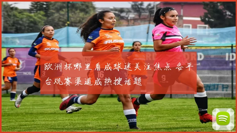 欧洲杯哪里看成球迷关注焦点 各平台观赛渠道成热搜话题